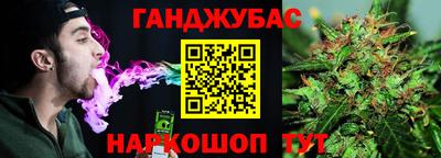 дмт Гай