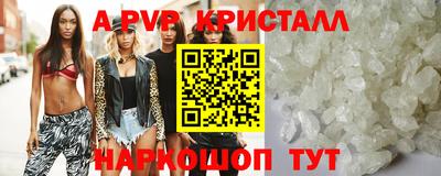 дмт Гай