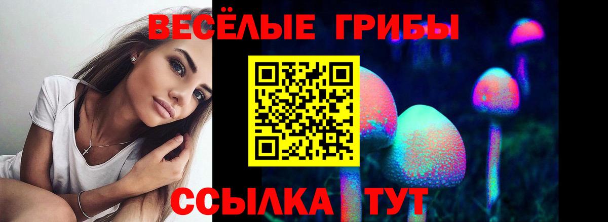 Псилоцибиновые грибы Magic Shrooms  Вход с VPN  сколько стоит  Сорочинск  Псилоцибиновые грибы ЛСД 